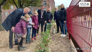 Parchim: Naschen erlaubt: Lions-Club spendiert Vitaminlieferanten | svz.de - svz.de