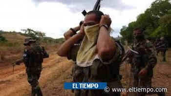 Nueva masacre en Nariño: cuatro personas acribilladas en Buesaco - ElTiempo.com