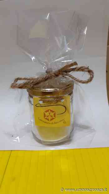 Mielinumbria: a Foligno bambini protagonisti di laboratori - Il quotidiano che racconta l'Umbria - Umbria Cronaca