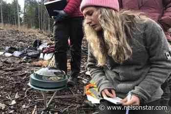 West Kootenay project blends agriculture and forestry – Nelson Star - Nelson Star