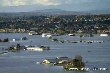 Flooding in B.C. ‘testing the resilience’ of dairy farmers, says association - Nelson Star