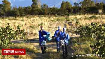 How smart tech is supporting smallholders in South Africa