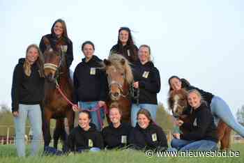 Manege De Paddock gooit handdoek in de ring