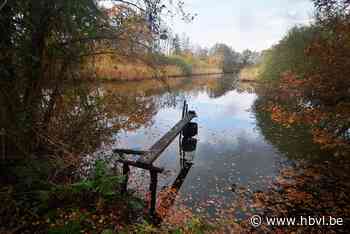 Deze natte wandeling van 6 kilometer gaat traag vooruit - omdat er zoveel te zien is - Het Belang van Limburg