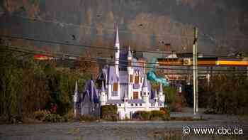 Mammoth cleanup to begin in B.C. as flood waters recede