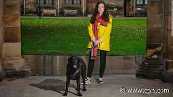 Hello from your best friend -- the device that lets your dog call you