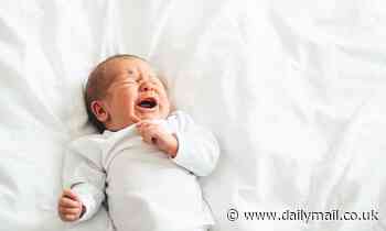 DNA data of healthy babies could be hacked or sold by Governments in future, ethics expert says