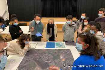 Studenten vanuit de hele wereld leveren ideeën voor groener Schilde … en leren er fietsen - Het Nieuwsblad