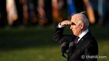 Democrats question whether Biden will actually run in 2024