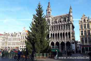 Dilbeekse kerstboom prijkt in volle glorie op Grote Markt