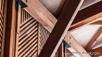 Mutualism in Art and Architecture webinar - Announcements - E-Flux