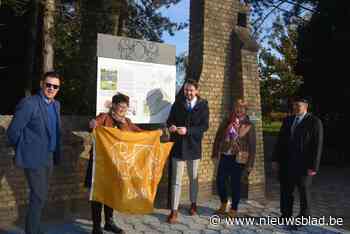 Herinrichting begraafplaatsen start volgend jaar: “Meer park, meer groen maar geen enkel graf wordt verplaatst”
