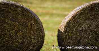 Reduce forage losses during winter feeding