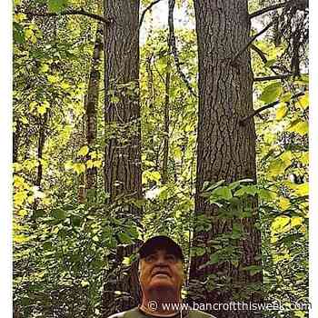 Ed Lentz shines a light on South Algonquin's lumber heritage - Bancroft This Week