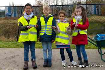 Jeugd plant vijfduizend krokussen voor meer kleur, meer bijen en minder CO2