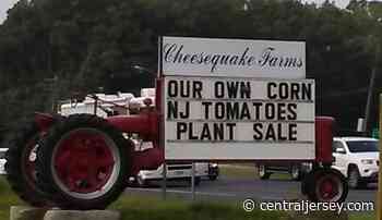 After 49 years, Cheesequake Farms announces it will no longer offer retail portion of business - centraljersey.com