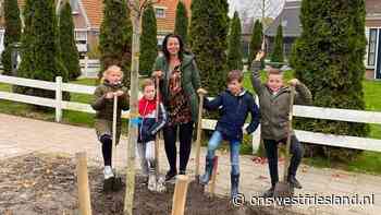 Boomfeestdag in Onderdijk: Amberbomen nemen plaats van Essen in - OnsWestfriesland.nl