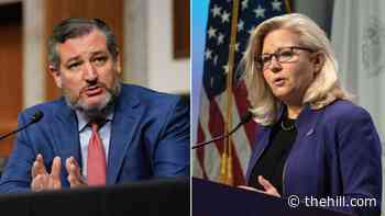 Cheney knocks Ted Cruz: 'A real man would be defending his wife'