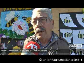 MARCON | AL VIA ‘LA CASA DELLE API’ NELL’OASI DI GAGGIO - A3 NEWS Anteprima