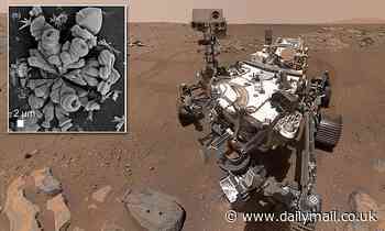 Looking for life on Mars could be hampered by 'false biosignatures' created by chemical actions