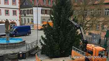 Die Kraft von rund 1500 Glühbirnen in Volkach - Main-Post