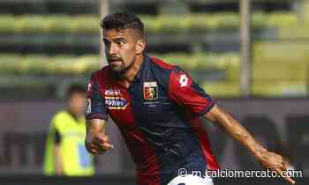 Genoa, colloqui con il Torino per il ritorno di Rincon - Calciomercato.com
