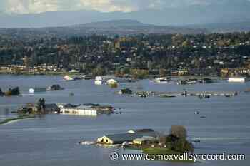 Flooding in B.C. ‘testing the resilience’ of dairy farmers, says association - Comox Valley Record