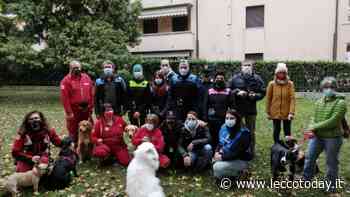 A Lecco il test padrone-cane per certificare un bravo cittadino a quattro zampe - LeccoToday