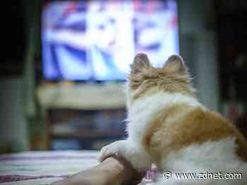 A Mac-Roku TV mystery: Why was my screen randomly dimming?