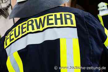 Hütte in Breisacher Kleingartengelände fängt Feuer - Breisach - Badische Zeitung