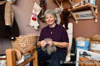 Het spinnewiel draait bij alpacaboerderij Pat-Alpaca tijdens de Dag van de Ambachten