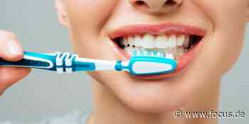 Zahnarzt erklärt: Diese fünf Dinge machen viele beim Zähneputzen falsch - FOCUS Online