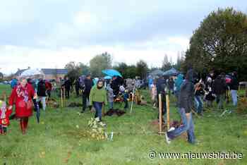 Plantmoment met ouders en kinderen in het Geboortebos gaat niet door