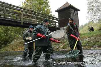 Teeröl in der Rodach: Zahlt Kreis Kronach die Sanierung? - Fränkischer Tag