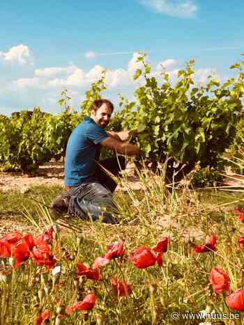 Franse Vlaming stelt wijnen voor in Zwalm - NUUS