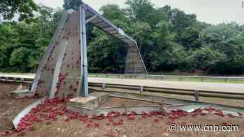 This island has an overpass for migrating crabs. See how it works