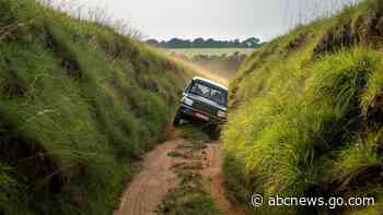 Gabon is last bastion of endangered African forest elephants - ABC News