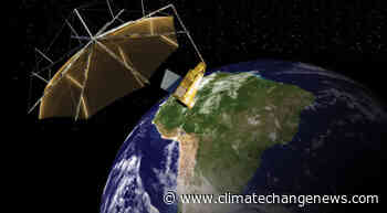 How tracking forest biomass change from space informs carbon cycling models - Climate Home