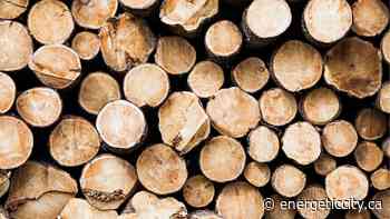 Canfor closes forest tenure transfer to Peak Renewables - Energeticcity.ca