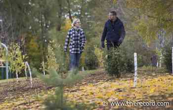 Project brings a little patch of forest into schoolyards - TheRecord.com