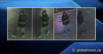 OPP investigate after tires slashed on 30+ vehicles in Mount Forest, Ont. - Globalnews.ca