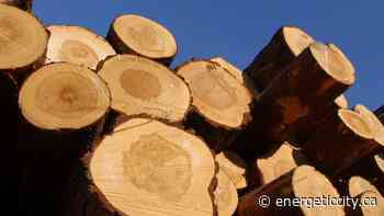 Canfor to transfer forest tenure to Peak Fort Nelson Properties - Energeticcity.ca