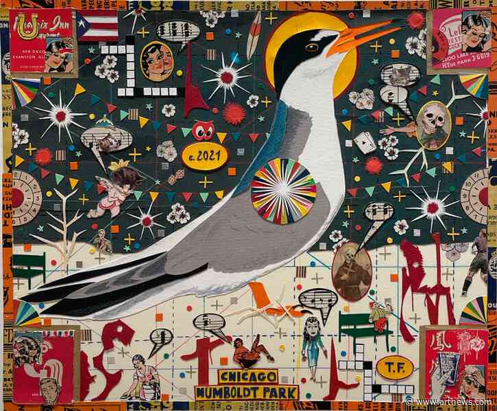 Birds of Paradise: Tony Fitzpatrick at Cleve Carney Museum of Art