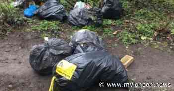 Epping forest fly-tippers fined £4k as illegal dumping rises - MyLondon