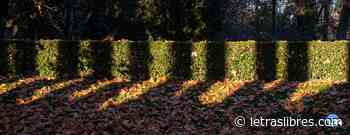 Entretiempo - LetrasLibres.com