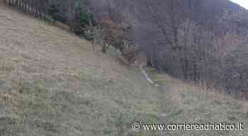 Da Cagli fino al monte Petrano lungo il sentiero 200 tra boschi e prati, luoghi di grande appeal per attività come kite buggying e land boarding - Corriere Adriatico