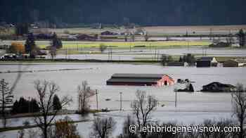 Water main break preventing Abbotsford farmers from accessing water for animals - Lethbridge News Now