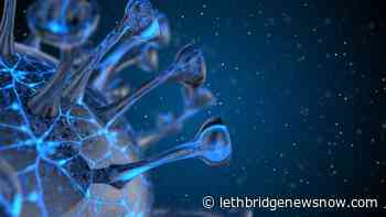 Active COVID cases fall below 500 in South Zone - Lethbridge News Now