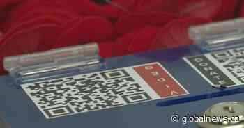 Lethbridge Legion hopes to raise $90K through annual poppy campaign - Globalnews.ca