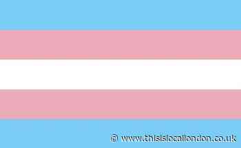 Trans awareness week, Tia Highams park school